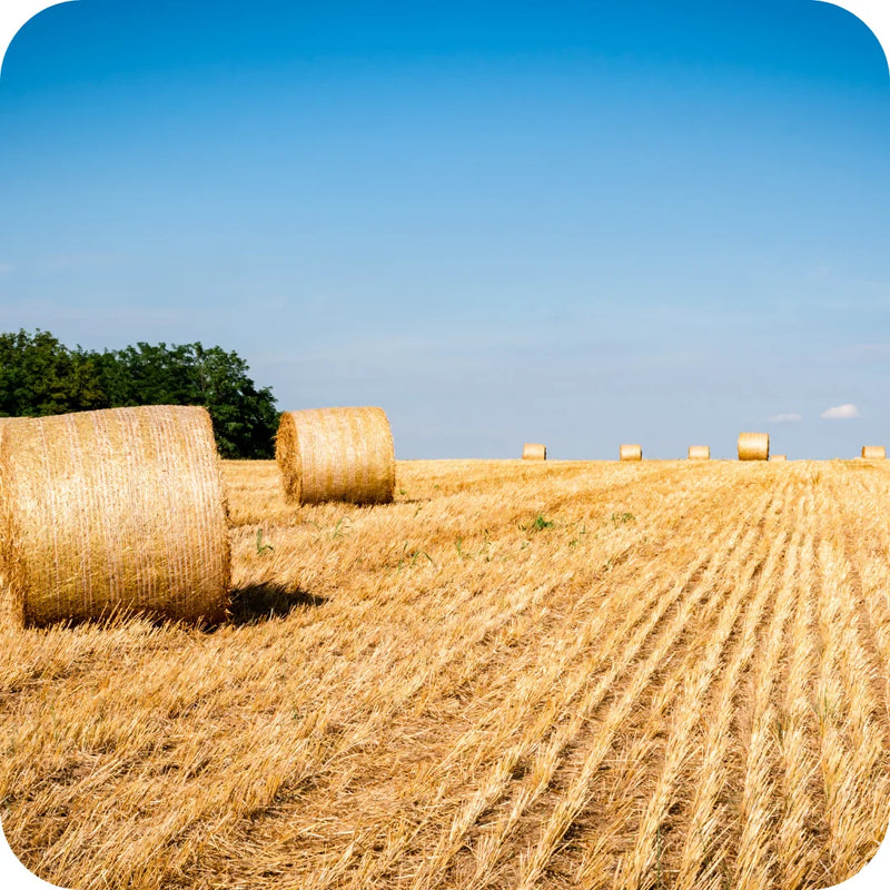 Piese cosit si adunat fan