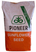 Seminte Floarea Soarelui P64LE99