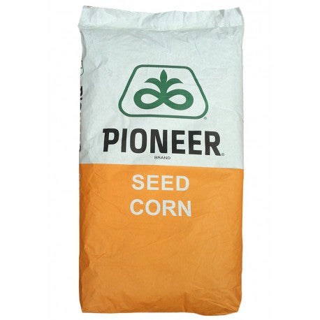 Seminte Porumb P95126